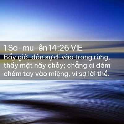 Picture 02 - 1 Sa-mu-ên 14:26 VIE - Bấy giờ, dân sự đi vào trong rừng, - Bible Verse Picture