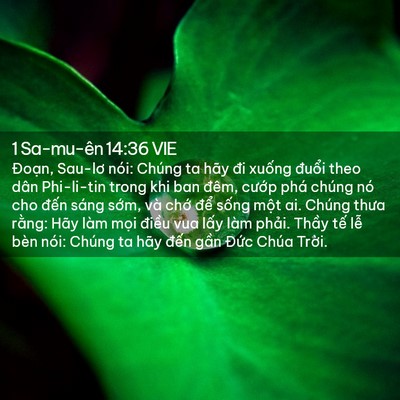 Picture 02 - 1 Sa-mu-ên 14:36 VIE - Đoạn, Sau-lơ nói: Chúng ta hãy đi xuống - Bible Verse Picture