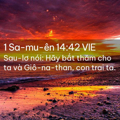 Picture 02 - 1 Sa-mu-ên 14:42 VIE - Sau-lơ nói: Hãy bắt thăm cho ta và - Bible Verse Picture
