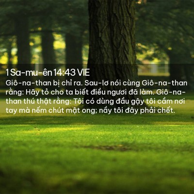 Picture 02 - 1 Sa-mu-ên 14:43 VIE - Giô-na-than bị chỉ ra. Sau-lơ nói cùng - Bible Verse Picture