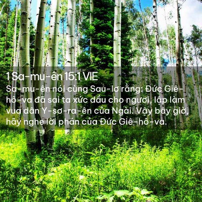 Picture 02 - 1 Sa-mu-ên 15:1 VIE - Sa-mu-ên nói cùng Sau-lơ rằng: Đức - Bible Verse Picture