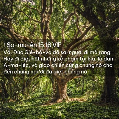 Picture 02 - 1 Sa-mu-ên 15:18 VIE - Vả, Đức Giê-hô-va đã sai ngươi đi mà - Bible Verse Picture