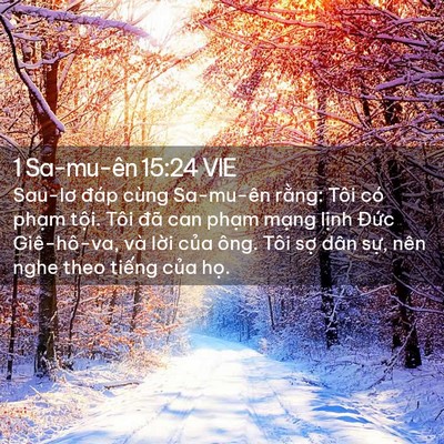 Picture 02 - 1 Sa-mu-ên 15:24 VIE - Sau-lơ đáp cùng Sa-mu-ên rằng: Tôi có - Bible Verse Picture