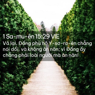 Picture 02 - 1 Sa-mu-ên 15:29 VIE - Vả lại, Đấng phù hộ Y-sơ-ra-ên - Bible Verse Picture
