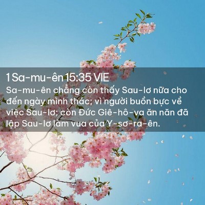 Picture 02 - 1 Sa-mu-ên 15:35 VIE - Sa-mu-ên chẳng còn thấy Sau-lơ nữa cho - Bible Verse Picture