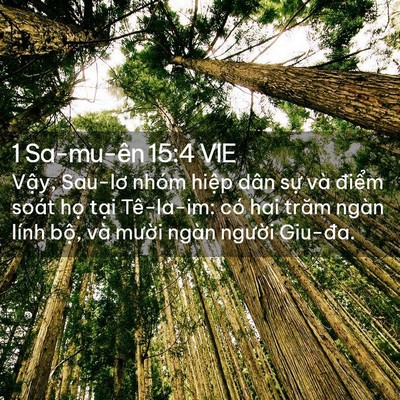 Picture 02 - 1 Sa-mu-ên 15:4 VIE - Vậy, Sau-lơ nhóm hiệp dân sự và điểm - Bible Verse Picture