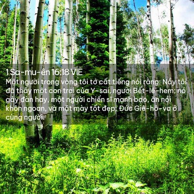 Picture 02 - 1 Sa-mu-ên 16:18 VIE - Một người trong vòng tôi tớ cất - Bible Verse Picture