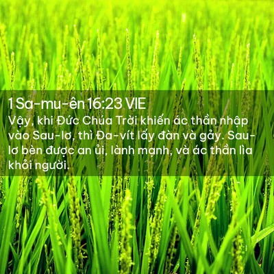 Picture 02 - 1 Sa-mu-ên 16:23 VIE - Vậy, khi Đức Chúa Trời khiến ác thần - Bible Verse Picture