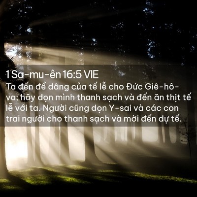 Picture 02 - 1 Sa-mu-ên 16:5 VIE - Ta đến để dâng của tế lễ cho Đức - Bible Verse Picture