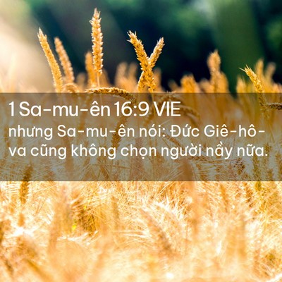 Picture 02 - 1 Sa-mu-ên 16:9 VIE - nhưng Sa-mu-ên nói: Đức Giê-hô-va cũng - Bible Verse Picture