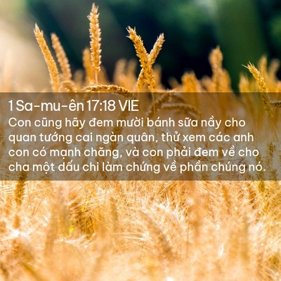 Picture 02 - 1 Sa-mu-ên 17:18 VIE - Con cũng hãy đem mười bánh sữa nầy cho - Bible Verse Picture