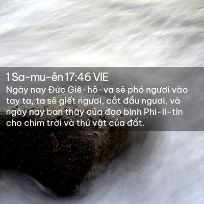 Picture 02 - 1 Sa-mu-ên 17:46 VIE - Ngày nay Đức Giê-hô-va sẽ phó ngươi - Bible Verse Picture