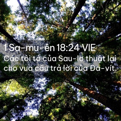 Picture 02 - 1 Sa-mu-ên 18:24 VIE - Các tôi tớ của Sau-lơ thuật lại cho - Bible Verse Picture