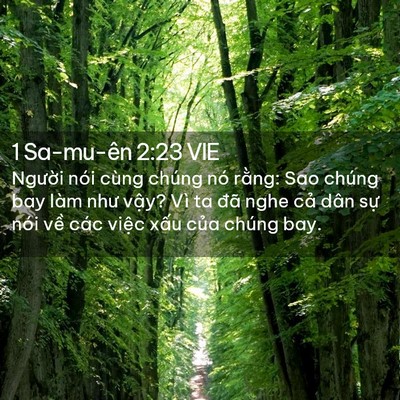 Picture 02 - 1 Sa-mu-ên 2:23 VIE - Người nói cùng chúng nó rằng: Sao chúng - Bible Verse Picture