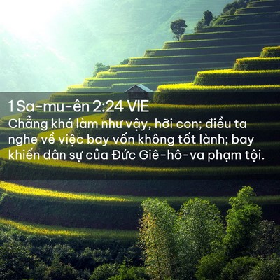Picture 02 - 1 Sa-mu-ên 2:24 VIE - Chẳng khá làm như vậy, hỡi con; điều - Bible Verse Picture