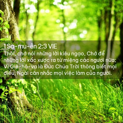 Picture 02 - 1 Sa-mu-ên 2:3 VIE - Thôi, chớ nói những lời kiêu ngạo, - Bible Verse Picture