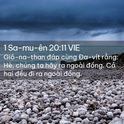 Picture 02 - 1 Sa-mu-ên 20:11 VIE - Giô-na-than đáp cùng Đa-vít rằng: Hè, - Bible Verse Picture
