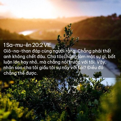 Picture 02 - 1 Sa-mu-ên 20:2 VIE - Giô-na-than đáp cùng người rằng: Chẳng - Bible Verse Picture