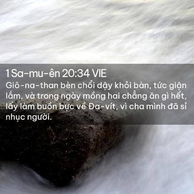 Picture 02 - 1 Sa-mu-ên 20:34 VIE - Giô-na-than bèn chổi dậy khỏi bàn, tức - Bible Verse Picture