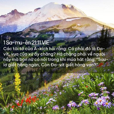 Picture 02 - 1 Sa-mu-ên 21:11 VIE - Các tôi tớ của A-kích hỏi rằng: Có - Bible Verse Picture
