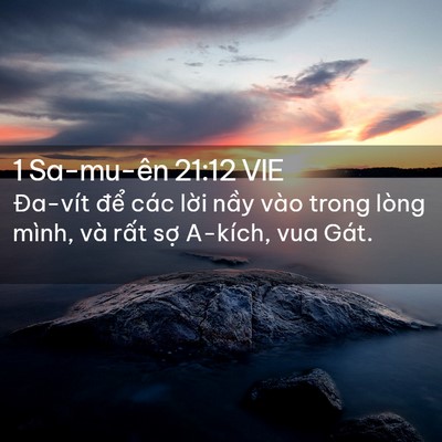 Picture 02 - 1 Sa-mu-ên 21:12 VIE - Đa-vít để các lời nầy vào trong lòng - Bible Verse Picture