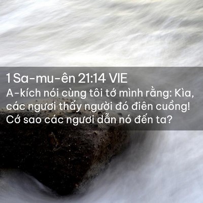 Picture 02 - 1 Sa-mu-ên 21:14 VIE - A-kích nói cùng tôi tớ mình rằng: Kìa, - Bible Verse Picture