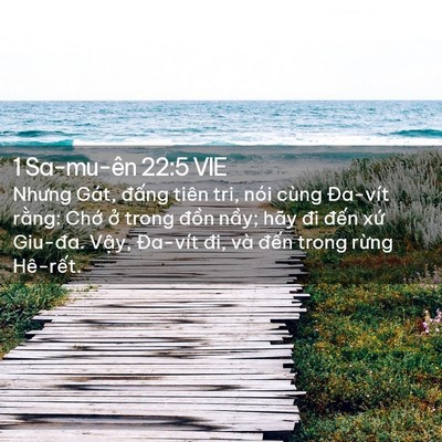 Picture 02 - 1 Sa-mu-ên 22:5 VIE - Nhưng Gát, đấng tiên tri, nói cùng - Bible Verse Picture