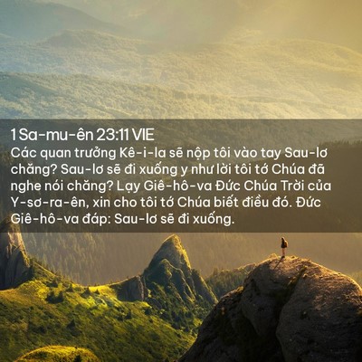 Picture 02 - 1 Sa-mu-ên 23:11 VIE - Các quan trưởng Kê-i-la sẽ nộp tôi vào - Bible Verse Picture