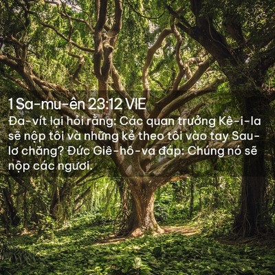 Picture 02 - 1 Sa-mu-ên 23:12 VIE - Đa-vít lại hỏi rằng: Các quan trưởng - Bible Verse Picture