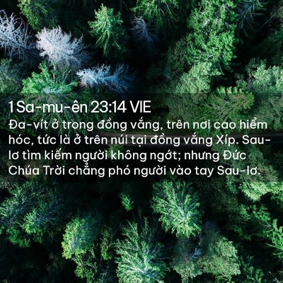 Picture 02 - 1 Sa-mu-ên 23:14 VIE - Đa-vít ở trong đồng vắng, trên nơi cao - Bible Verse Picture