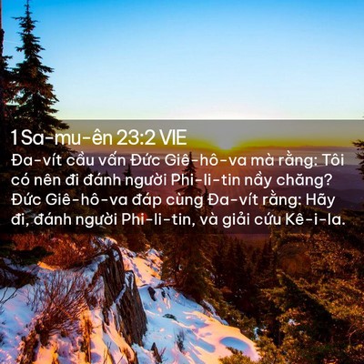 Picture 02 - 1 Sa-mu-ên 23:2 VIE - Đa-vít cầu vấn Đức Giê-hô-va mà - Bible Verse Picture