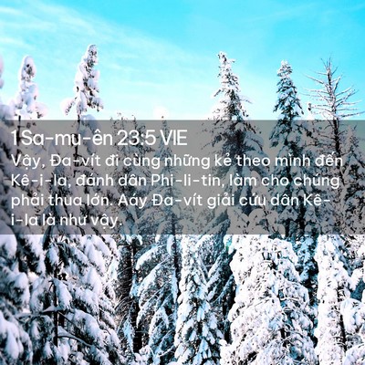Picture 02 - 1 Sa-mu-ên 23:5 VIE - Vậy, Đa-vít đi cùng những kẻ theo mình - Bible Verse Picture