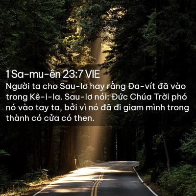 Picture 02 - 1 Sa-mu-ên 23:7 VIE - Người ta cho Sau-lơ hay rằng Đa-vít đã - Bible Verse Picture
