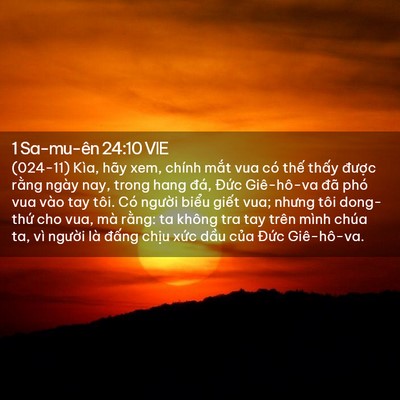 Picture 02 - 1 Sa-mu-ên 24:10 VIE - (024-11) Kìa, hãy xem, chính mắt vua có - Bible Verse Picture
