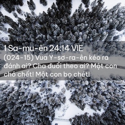 Picture 02 - 1 Sa-mu-ên 24:14 VIE - (024-15) Vua Y-sơ-ra-ên kéo ra đánh ai? Cha - Bible Verse Picture