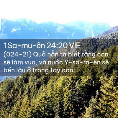 Picture 02 - 1 Sa-mu-ên 24:20 VIE - (024-21) Quả hẳn ta biết rằng con sẽ - Bible Verse Picture