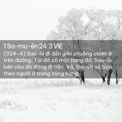Picture 02 - 1 Sa-mu-ên 24:3 VIE - (024-4) Sau-lơ đi đến gần chuồng chiên - Bible Verse Picture
