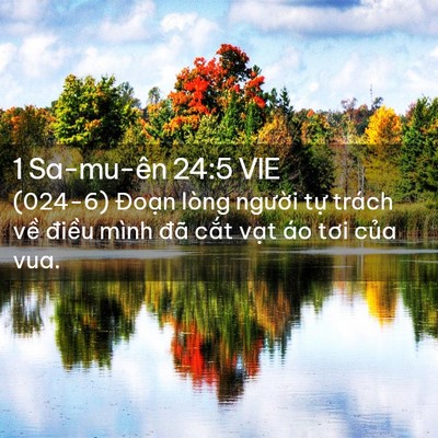 Picture 02 - 1 Sa-mu-ên 24:5 VIE - (024-6) Đoạn lòng người tự trách về - Bible Verse Picture