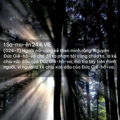 Picture 02 - 1 Sa-mu-ên 24:6 VIE - (024-7) Người nói cùng kẻ theo mình - Bible Verse Picture