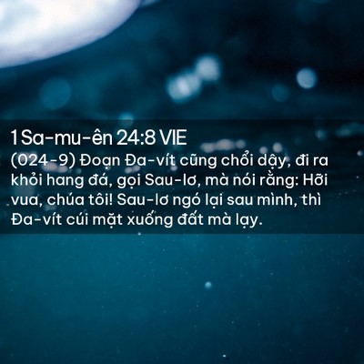 Picture 02 - 1 Sa-mu-ên 24:8 VIE - (024-9) Đoạn Đa-vít cũng chổi dậy, đi - Bible Verse Picture
