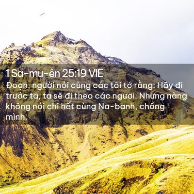 Picture 02 - 1 Sa-mu-ên 25:19 VIE - Đoạn, người nói cùng các tôi tớ - Bible Verse Picture
