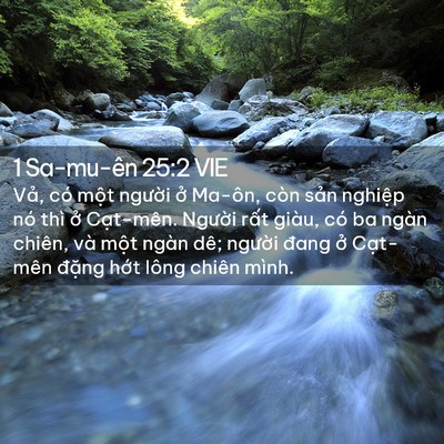 Picture 02 - 1 Sa-mu-ên 25:2 VIE - Vả, có một người ở Ma-ôn, còn sản - Bible Verse Picture