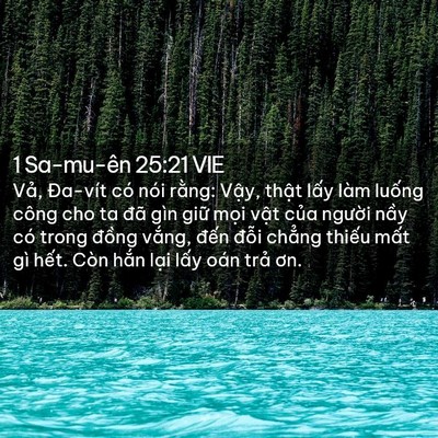 Picture 02 - 1 Sa-mu-ên 25:21 VIE - Vả, Đa-vít có nói rằng: Vậy, thật - Bible Verse Picture