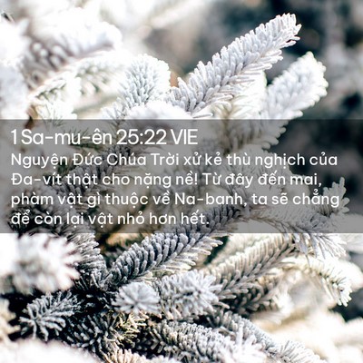 Picture 02 - 1 Sa-mu-ên 25:22 VIE - Nguyện Đức Chúa Trời xử kẻ thù - Bible Verse Picture