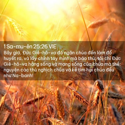 Picture 02 - 1 Sa-mu-ên 25:26 VIE - Bây giờ, Đức Giê-hô-va đã ngăn chúa - Bible Verse Picture