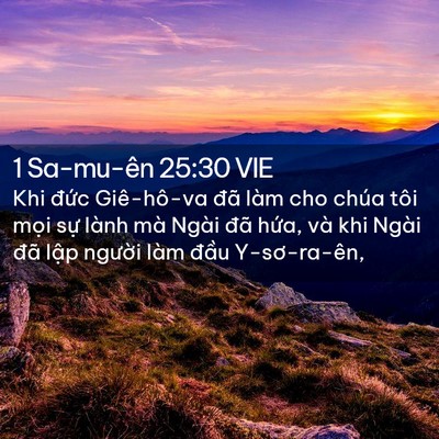 Picture 02 - 1 Sa-mu-ên 25:30 VIE - Khi đức Giê-hô-va đã làm cho chúa tôi - Bible Verse Picture