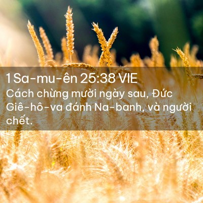 Picture 02 - 1 Sa-mu-ên 25:38 VIE - Cách chừng mười ngày sau, Đức - Bible Verse Picture