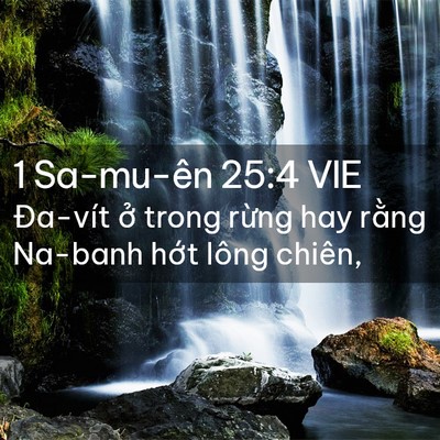 Picture 02 - 1 Sa-mu-ên 25:4 VIE - Đa-vít ở trong rừng hay rằng Na-banh - Bible Verse Picture