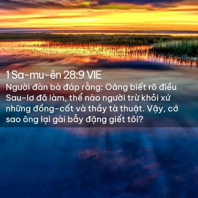 Picture 02 - 1 Sa-mu-ên 28:9 VIE - Người đàn bà đáp rằng: Oâng biết rõ - Bible Verse Picture