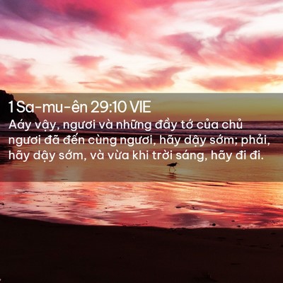 Picture 02 - 1 Sa-mu-ên 29:10 VIE - Aáy vậy, ngươi và những đầy tớ của - Bible Verse Picture
